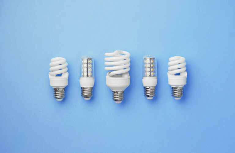 Collection of light bulbs